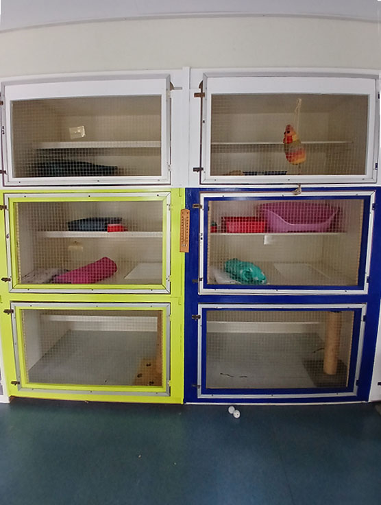 4 Paws Cat Motel Cattery Near Christchurch Airport