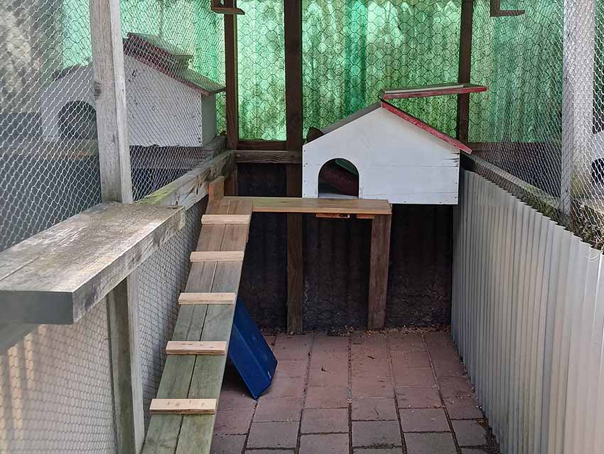 4 Paws Cat Motel Cattery Near Christchurch Airport