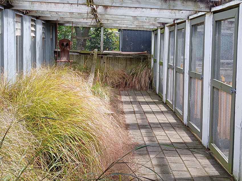 4 Paws Cat Motel Cattery Near Christchurch Airport