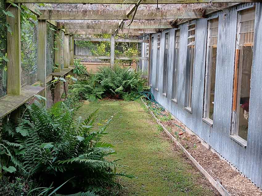 4 Paws Cat Motel Cattery Near Christchurch Airport