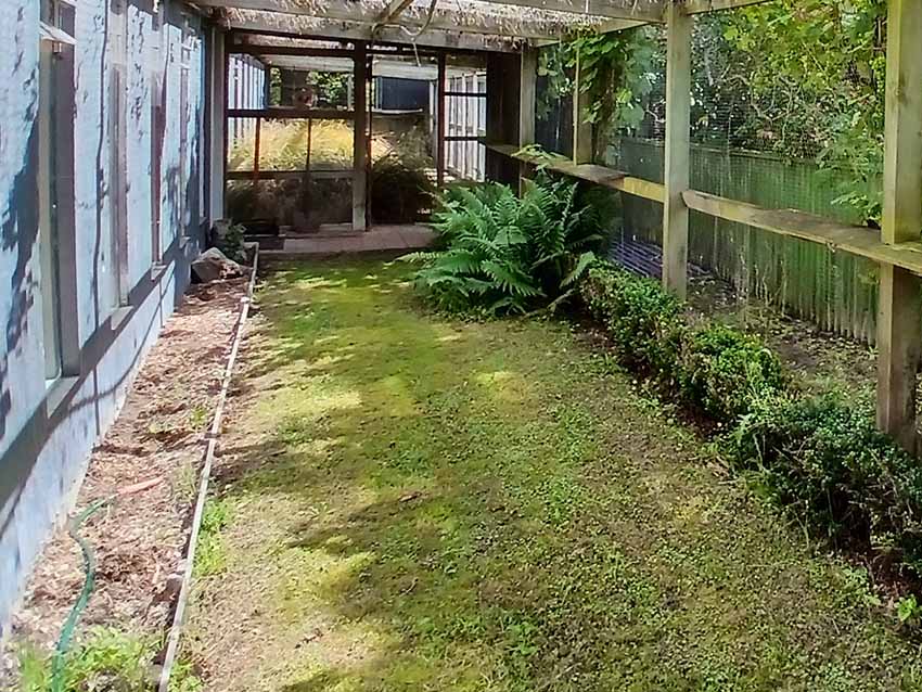 4 Paws Cat Motel Cattery Near Christchurch Airport